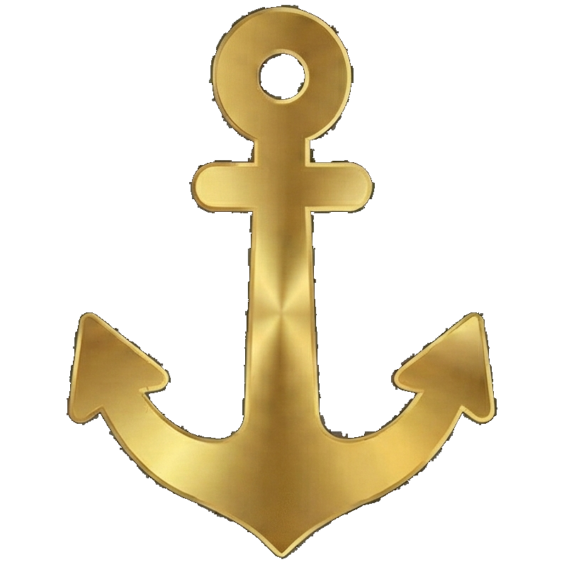 Flotilla anchor
